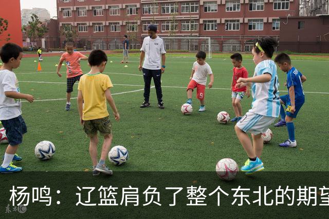 杨鸣：辽篮肩负了整个东北的期望 感谢球迷